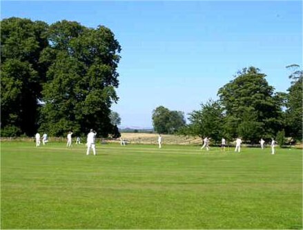 Cricket Club cricket club